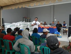 Sidrap Mantapkan Program IP300, Bupati Tekankan Evaluasi Panen.