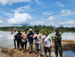 Tim Kementan RI Tinjau Program Oplah dan CSR di Sidrap