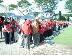 Bupati Syaharuddin Alrif Apresiasi Kontribusi Mahasiswa KKN Unhas di Sidrap