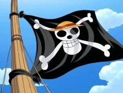 Ramai Pengibaran Bendera One Piece Jelang 17 Agustus, Ini Respons Pemerintah