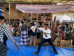 Petani Sidrap Mappadendang Bersama Bupati Syaharuddin Alrif karena Hasil Panen Melimpah